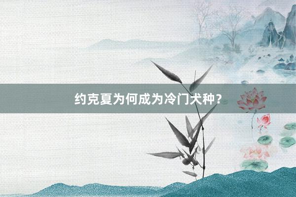 约克夏为何成为冷门犬种？