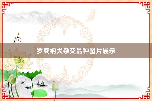 罗威纳犬杂交品种图片展示